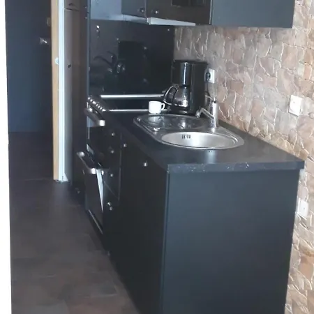 Renove Skis Aux Pieds Avec Balcon - Fr-1-346-373 Apartamento *